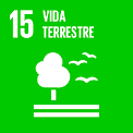 ODS 15: Vida Terrestre