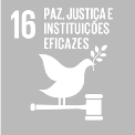 ODS 16: Paz, Justiça e Instituições Eficazes