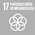 ODS 17: Parcerias e Meios de Implementação